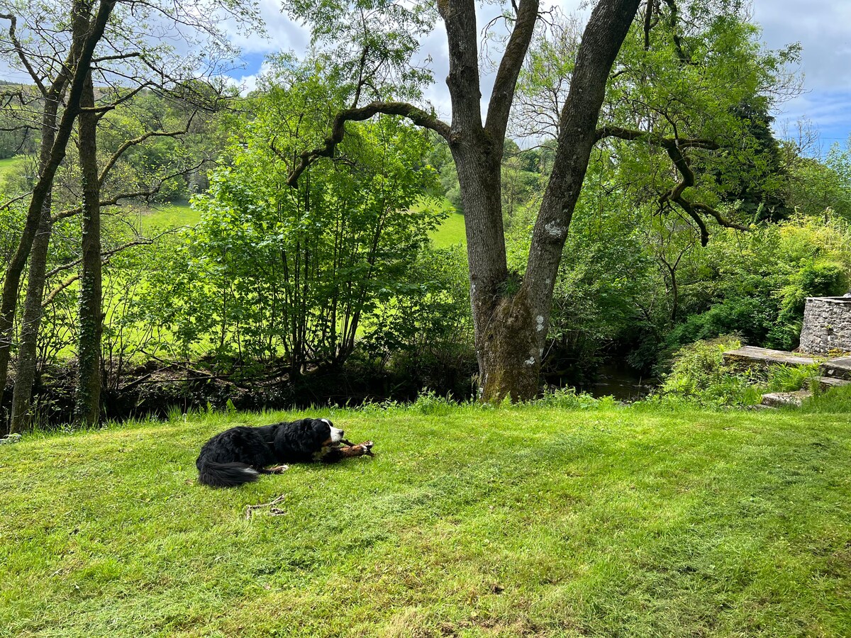 Tan Y Cestyll, Beautiful Cottage with Stream