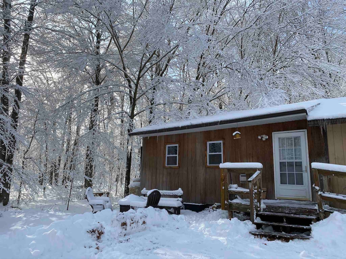 波科诺斯（ Poconos ）中的「The Lookout」小木屋度假屋！