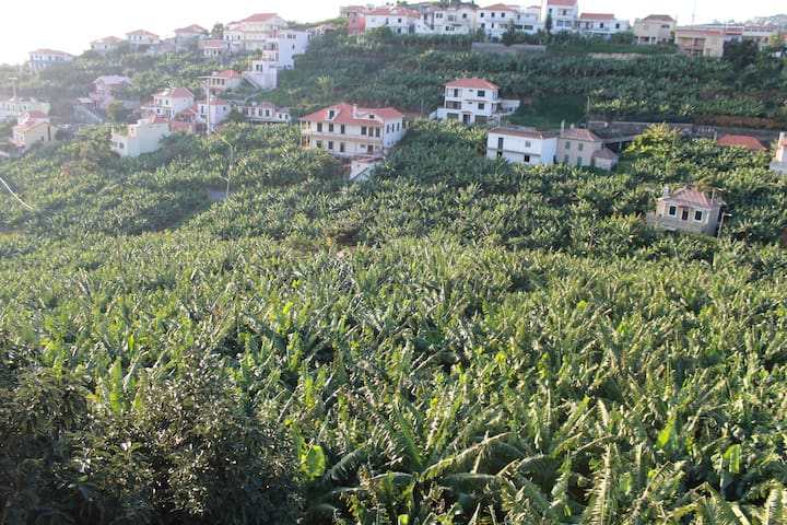 Ponta do Sol的民宿