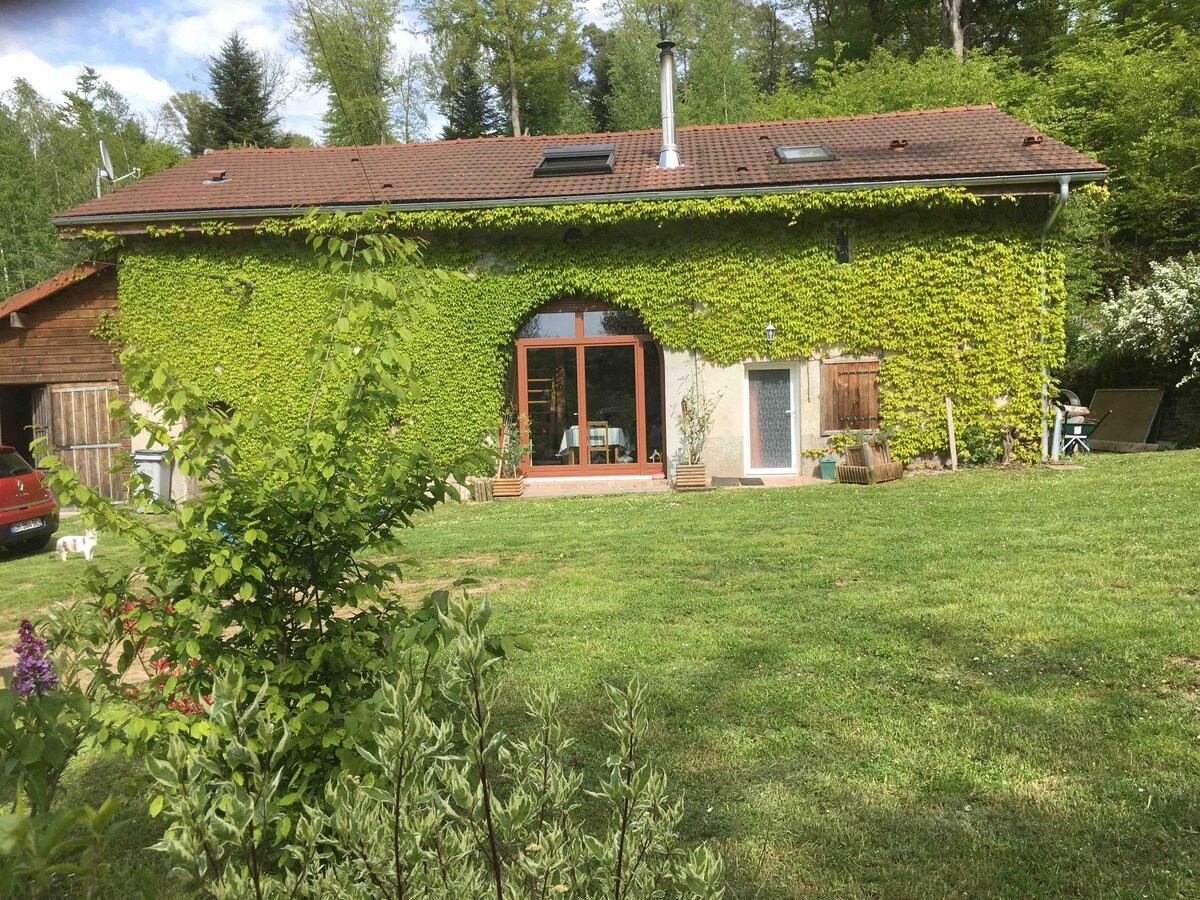 Farmhouse Vosges位于大自然中心地带