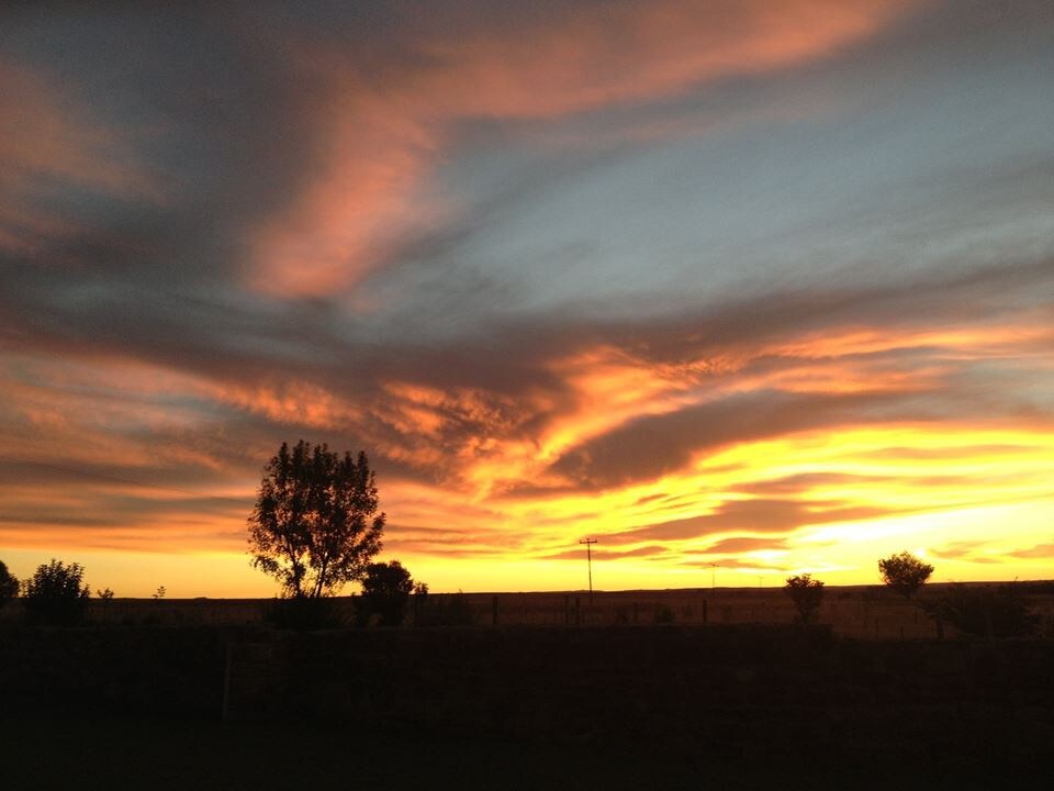 Waaidam Farm, Harrismith