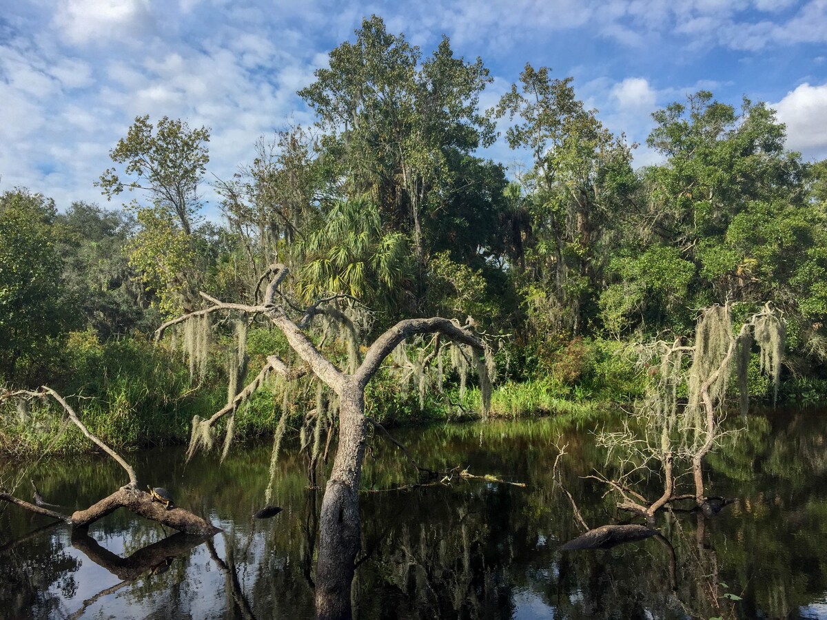 Little Manatee河上的Riverbend Retreat