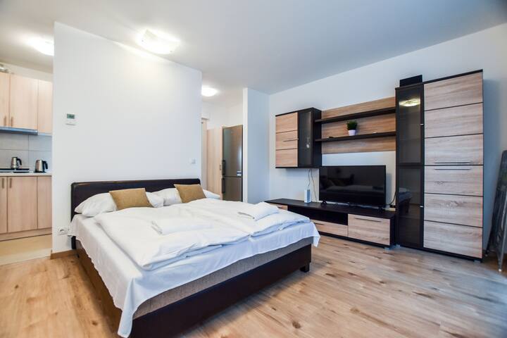 homelike residence close to the danube 407