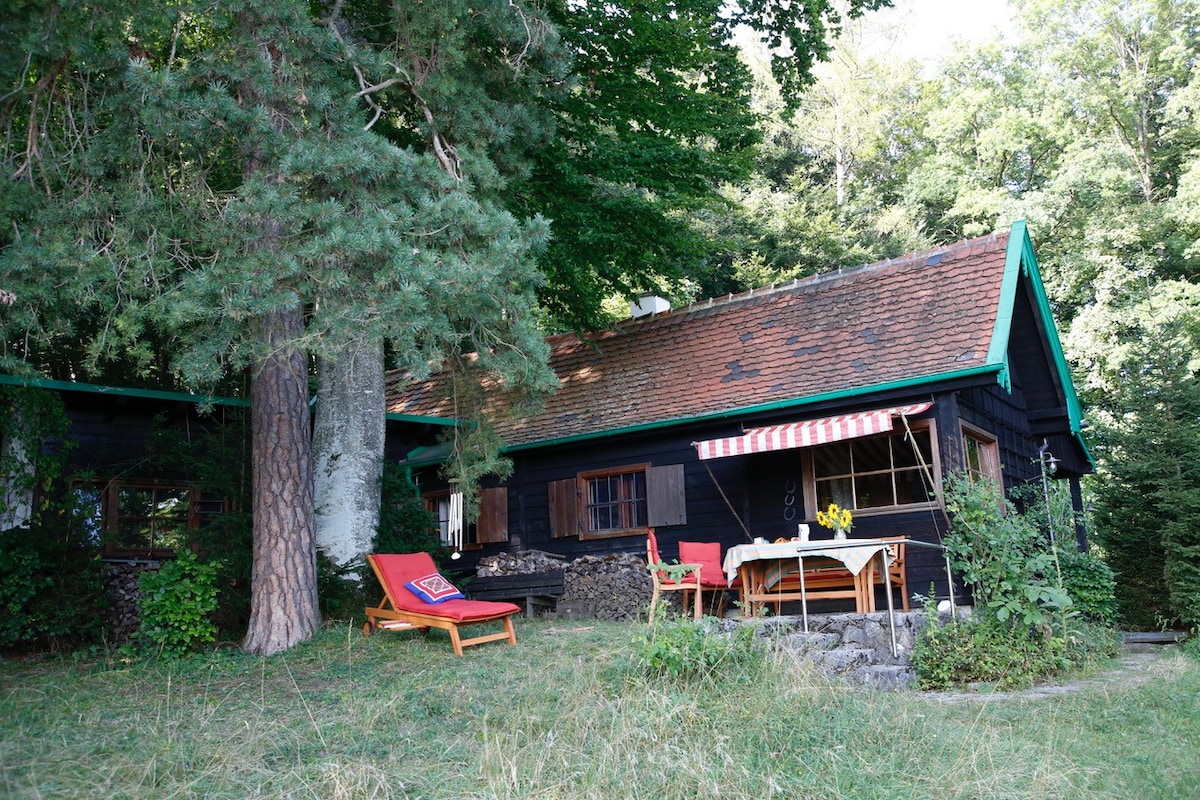 位于Steinebach am Wörthsee的Cottage