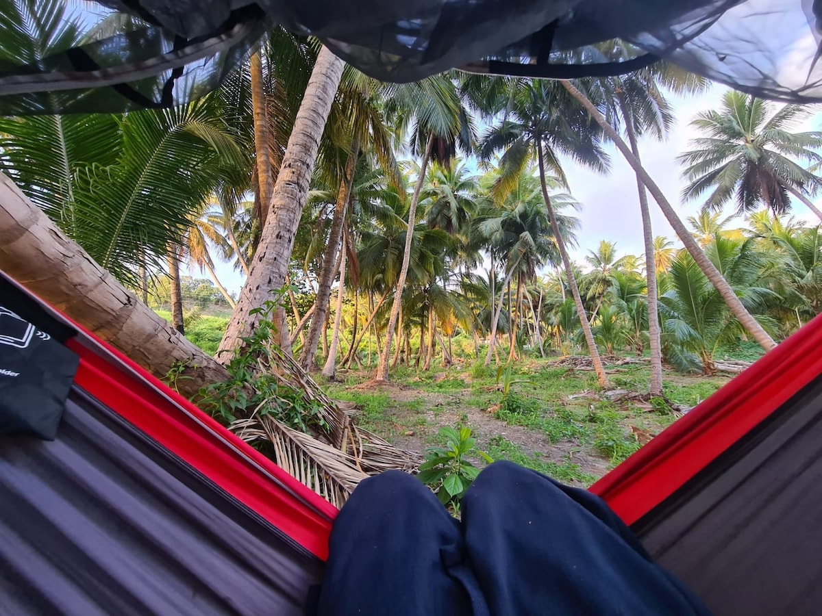 Hammock Stay (1) - Camping Barbados