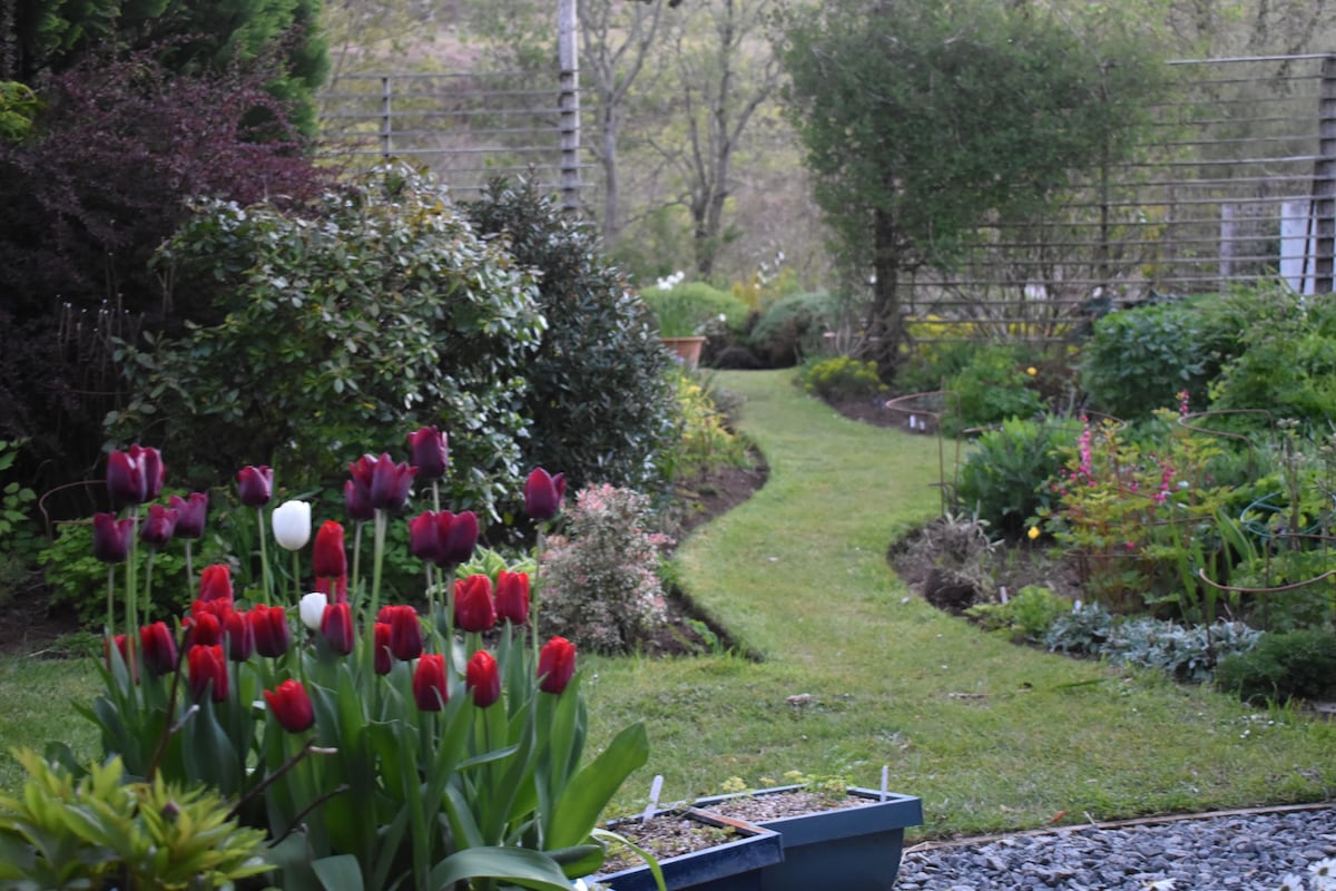 Stunning Lochside Studio, Isle of Skye