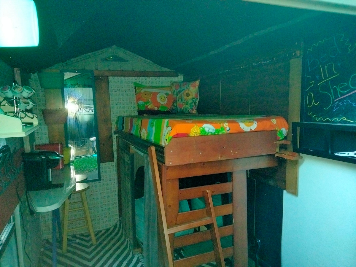 Creepy mini cottage/Bed n'the Shed