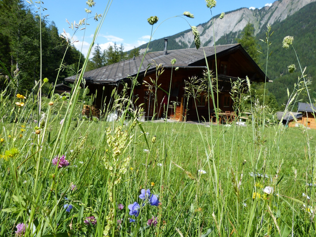 Praz de Fort en Valais的Chalet des Planereuses