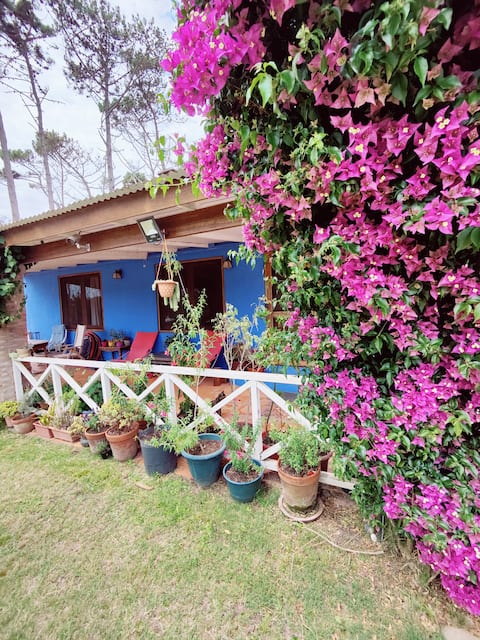 Divina casa a metros del mar.