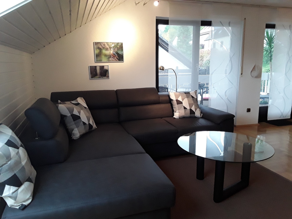 Bieniussa公寓（ Gemünden ） ， 2号公寓，带两间卧室和带阳光躺椅的阳台