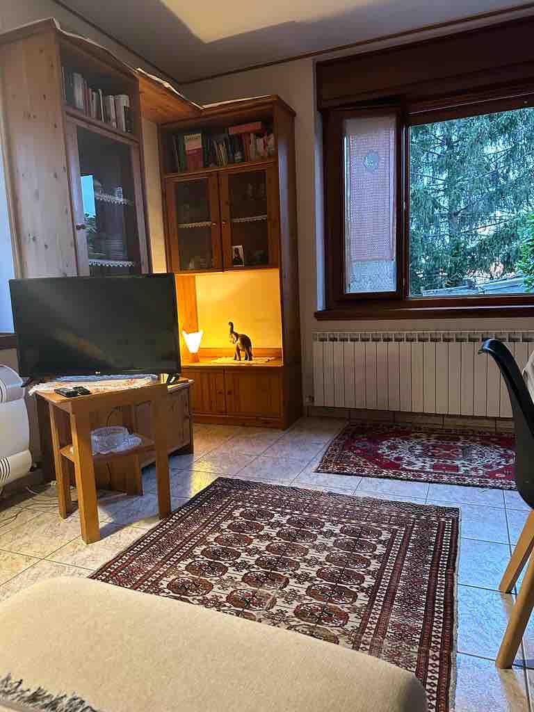 Cozy country apartment in Carso