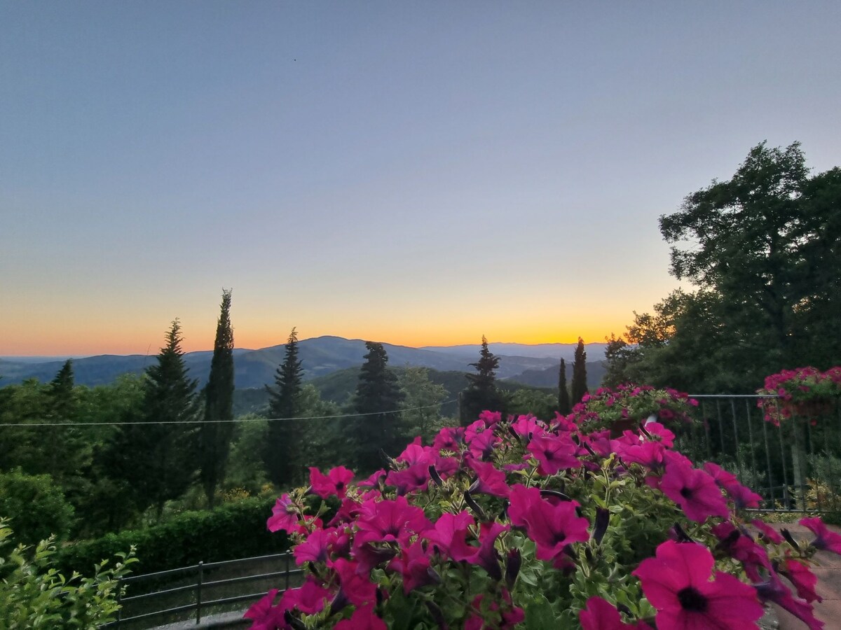 Bellosguardo - Tuscany hills, sunsets and nature.