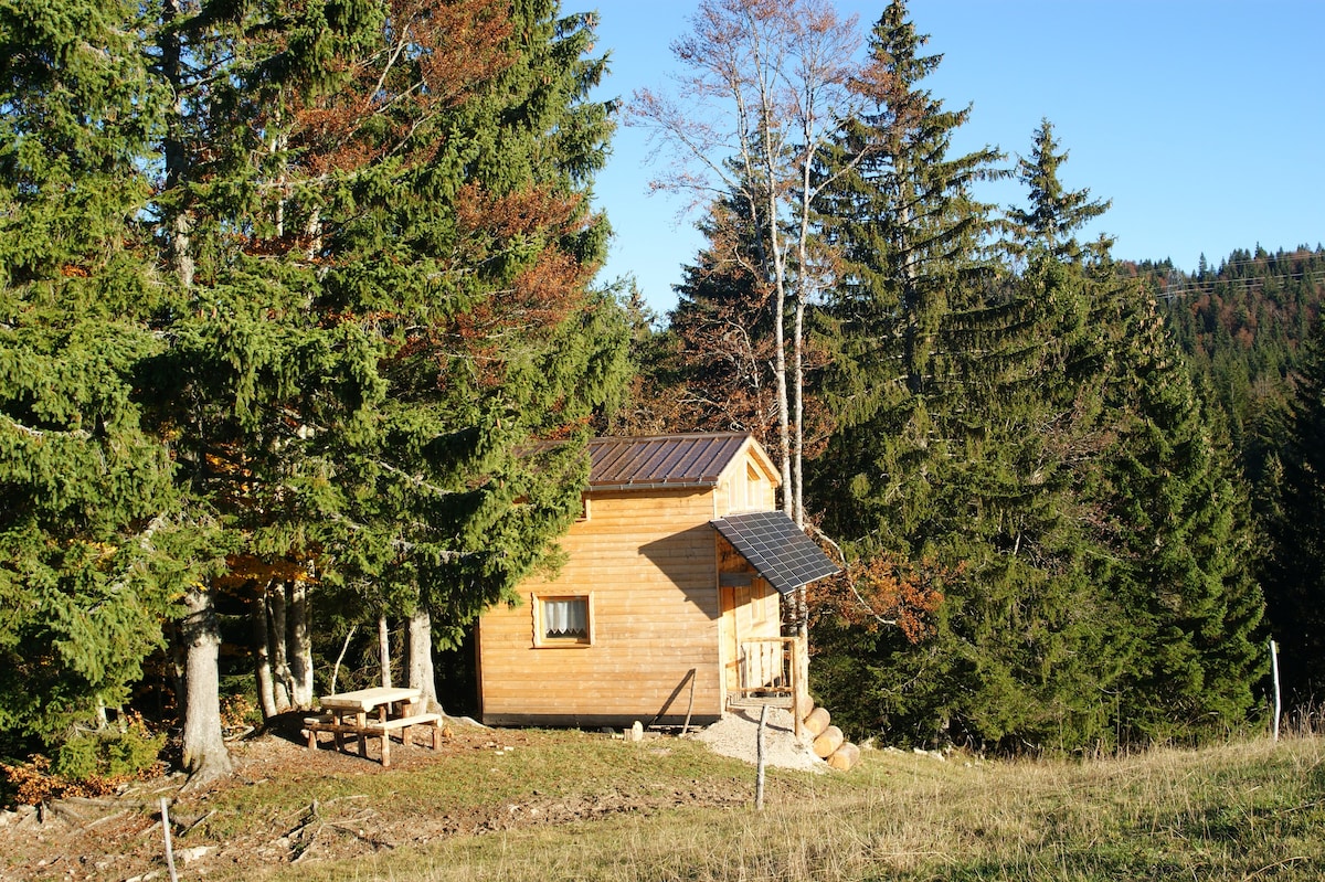 Dalue小屋，植被中的高耸