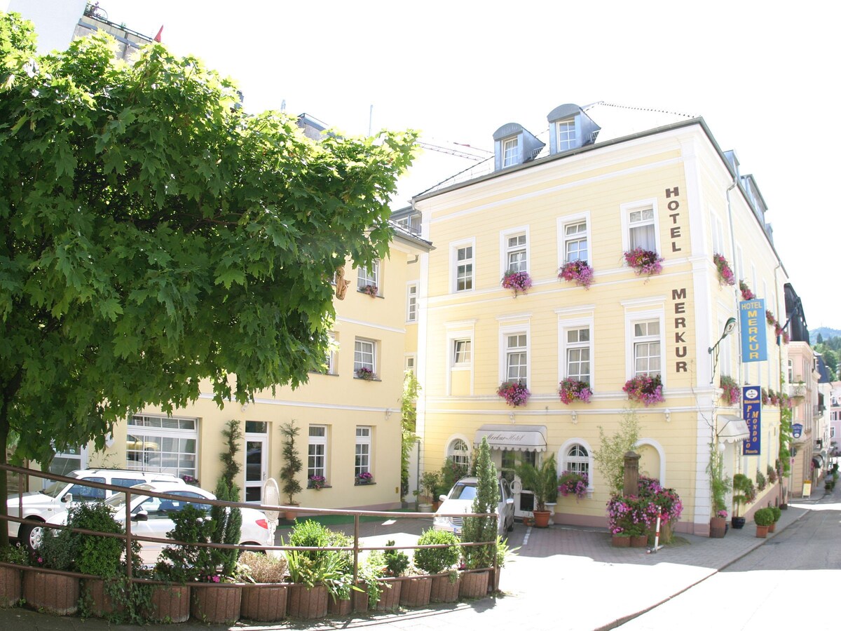 Merkur酒店（巴登-巴登） ，单人间， 16平方米，最多可入住1人