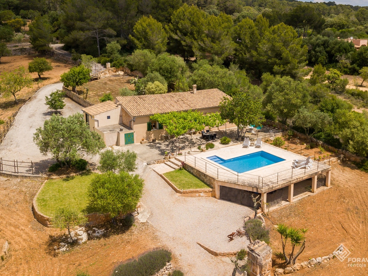 Son Fornes - Finca with pool and garden in Algaida