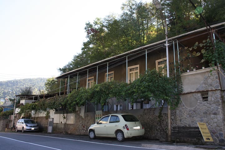 博尔若米 (Borjomi)的民宿
