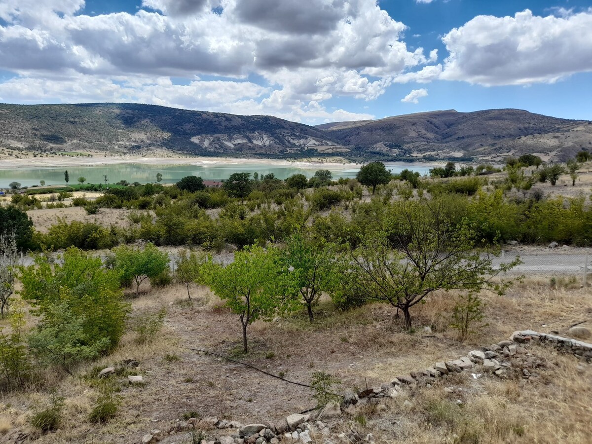 安静现代的小屋，可欣赏迷人的湖景。