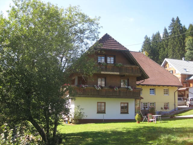 Vöhrenbach的民宿