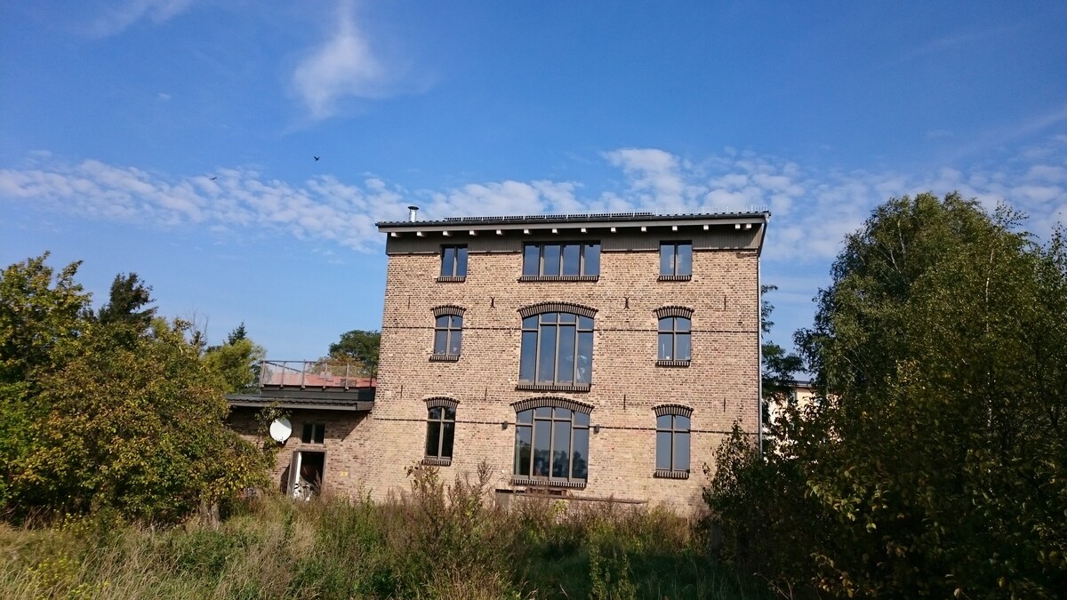 Yr hen Felin - the old mill