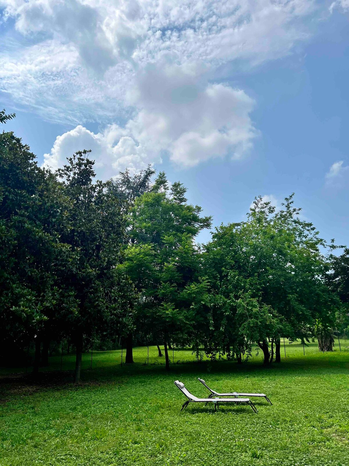 Cascina Bassi il Verde in città