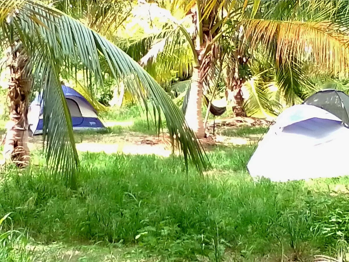 Tent Near The Beach (2) - Camping Barbados