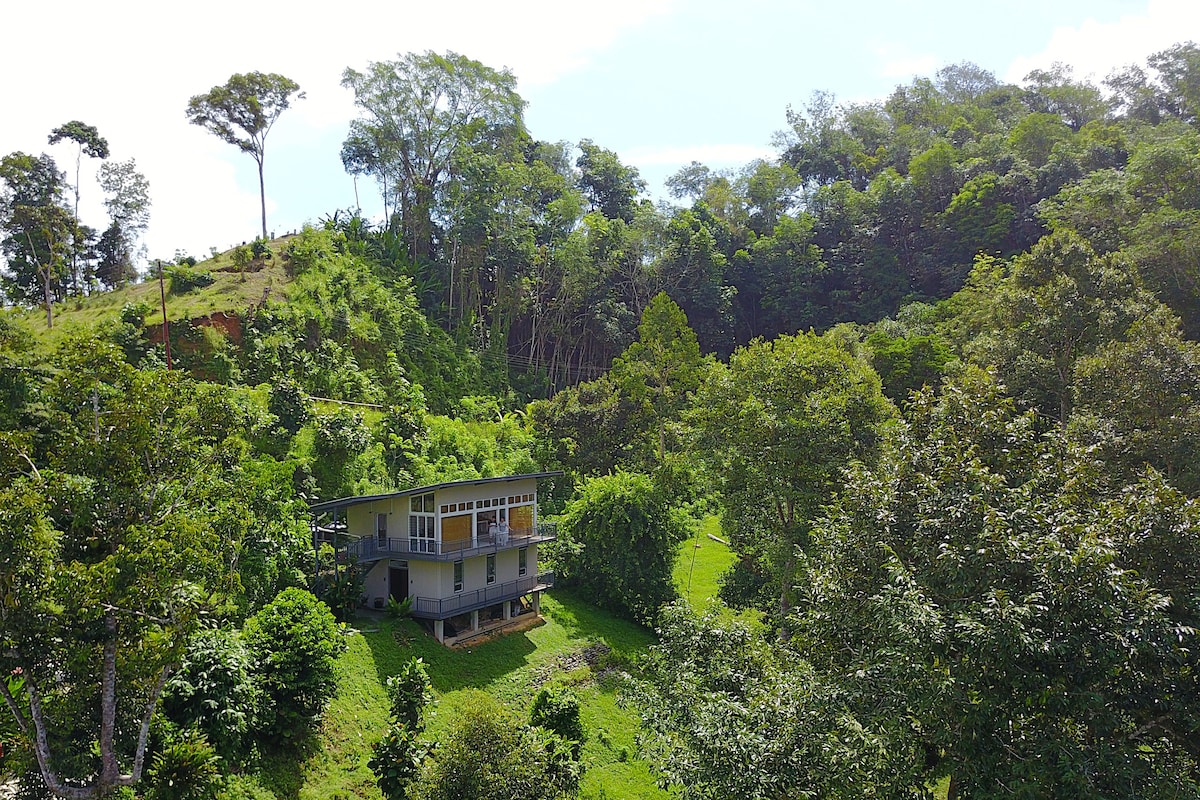 婆罗洲果园之家（ Borneo Orchard House ） ，可俯瞰壮丽的山谷景