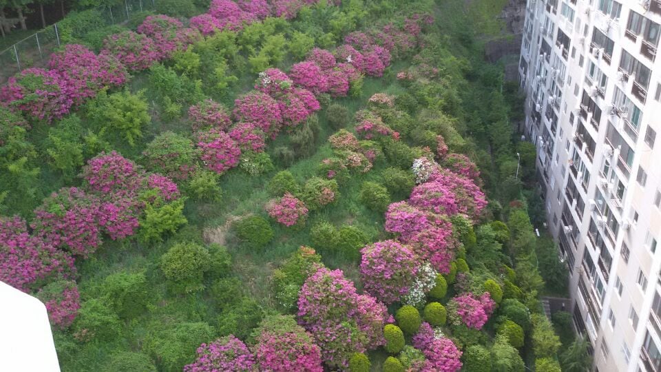 （침대방）釜山妈妈之家含早餐！