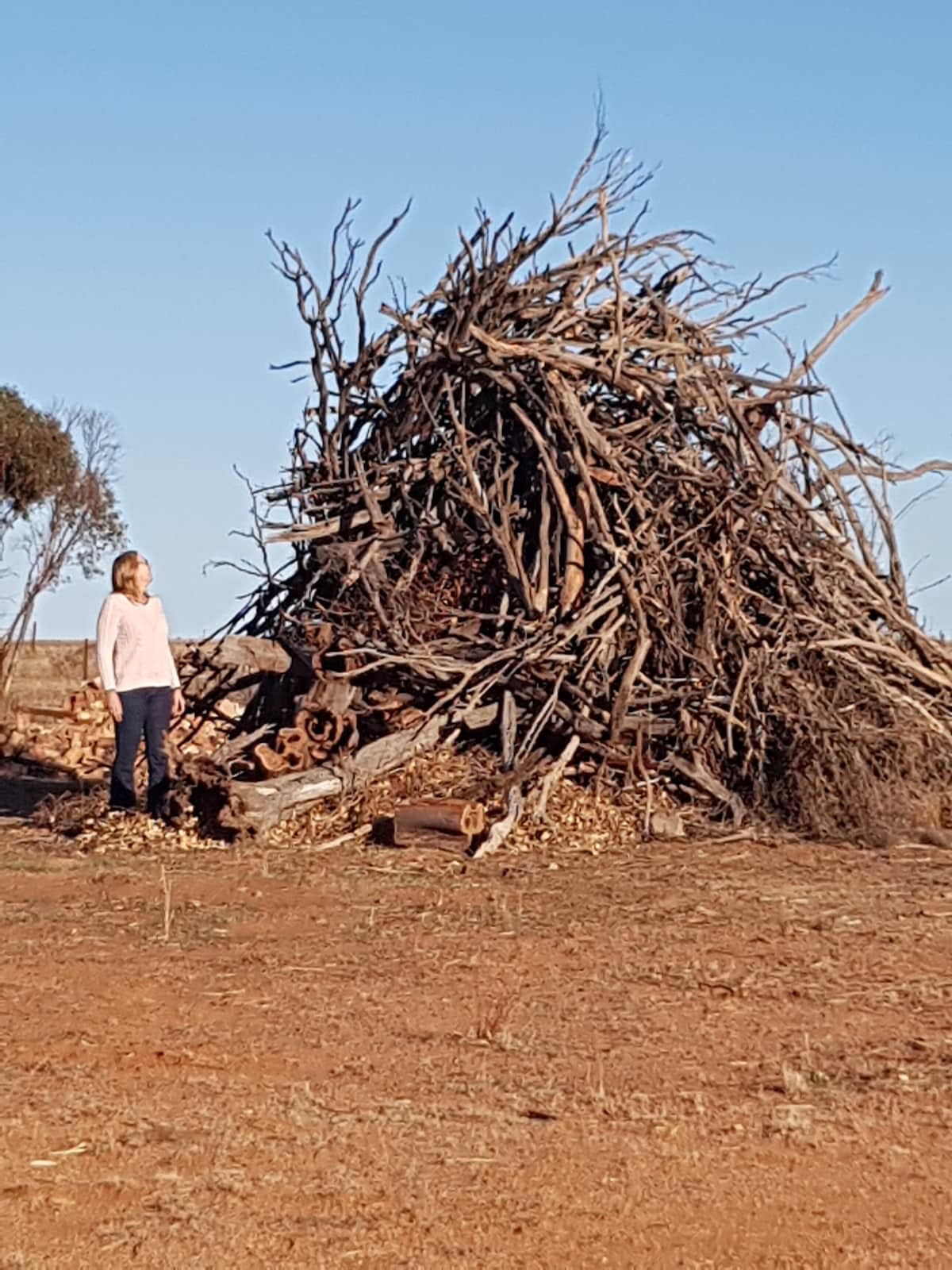 Rosevale Homestead (3)