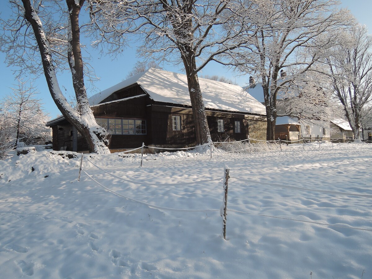 Sumava的乡村别墅