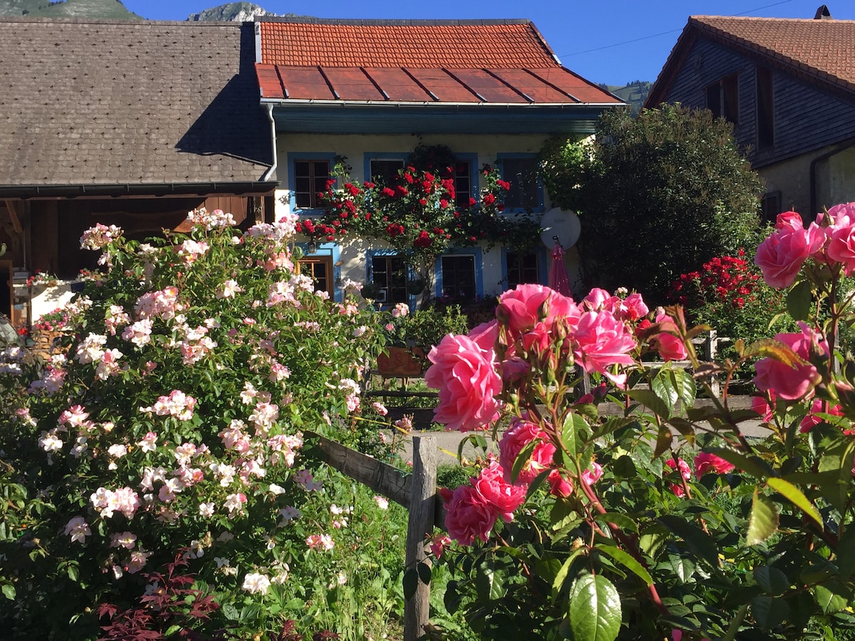 农场中的「Rhodo」农场