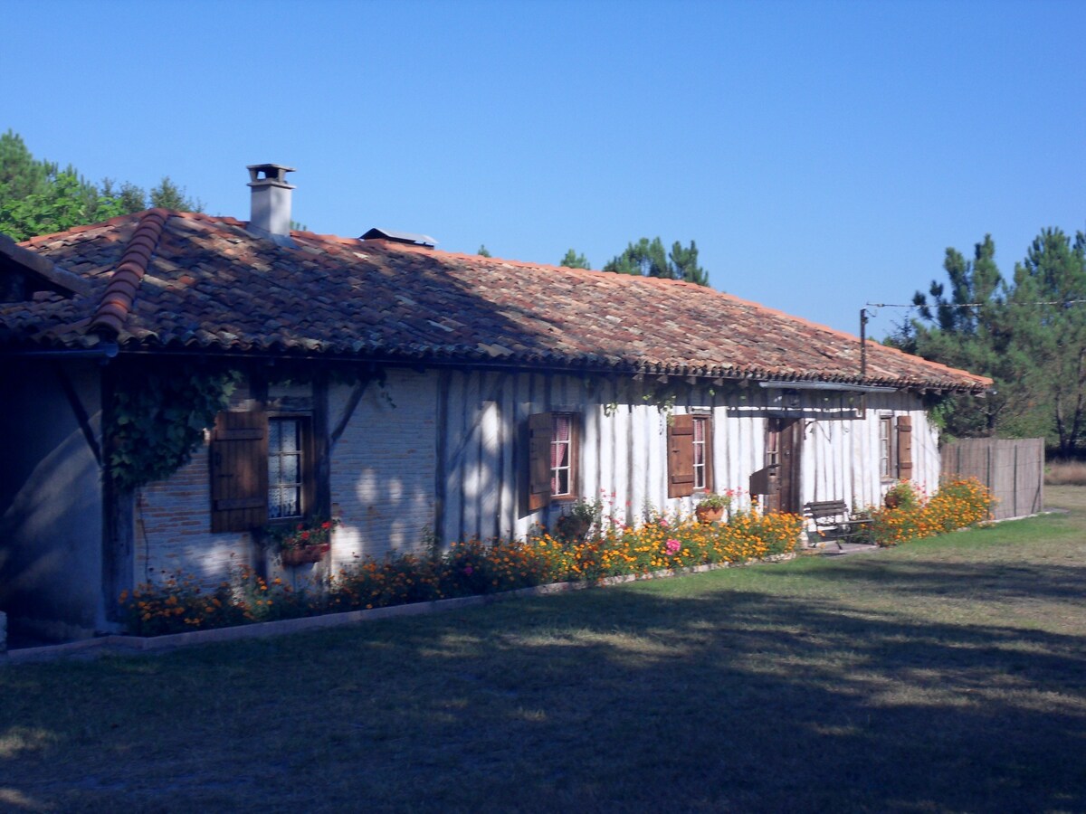「La Musarde」度假小屋，可容纳2人，毗邻森林