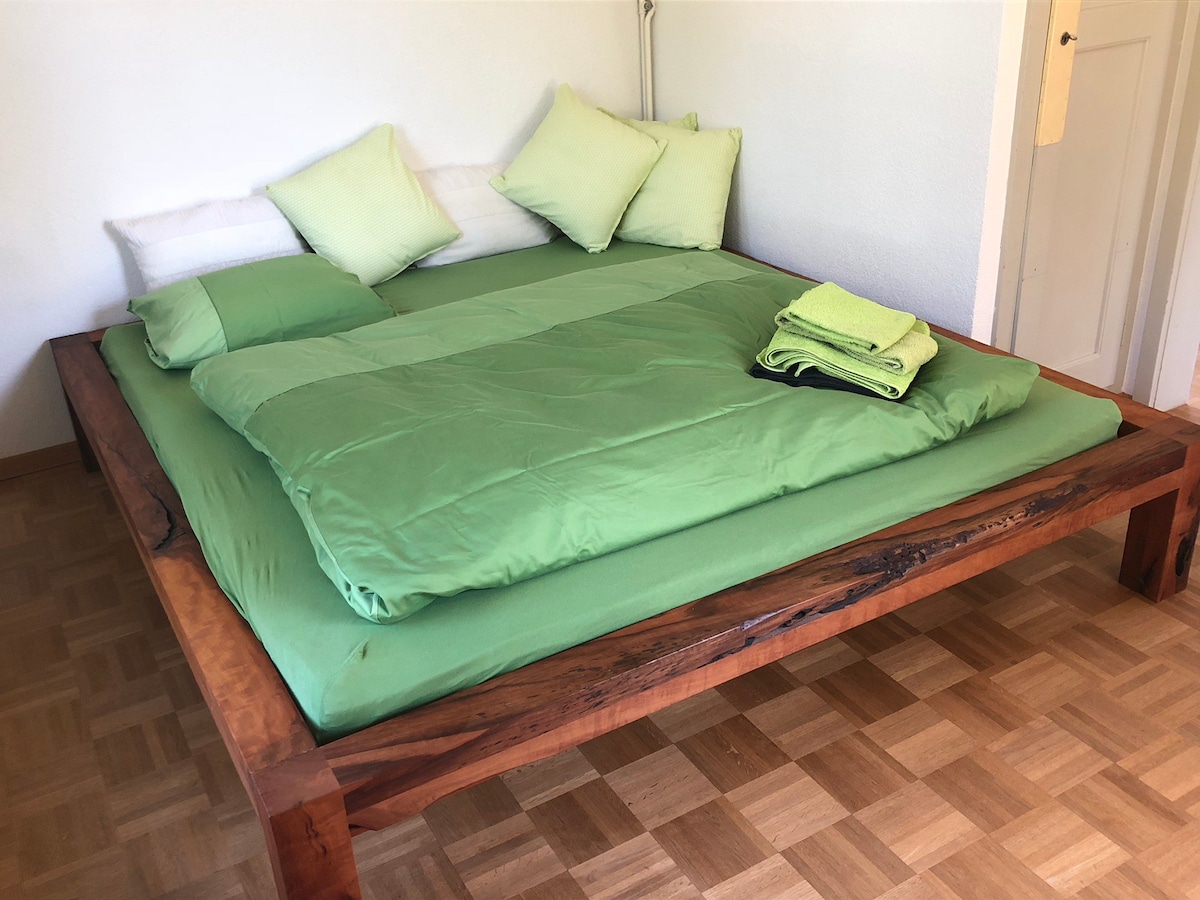 绿色绿洲的舒适房间