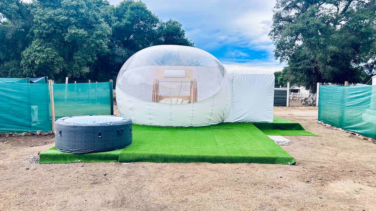 Bubble dome with Jacuzzi 2