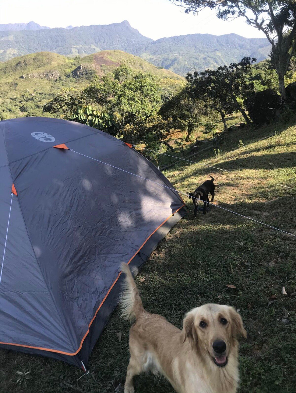 Camping en la montaña.