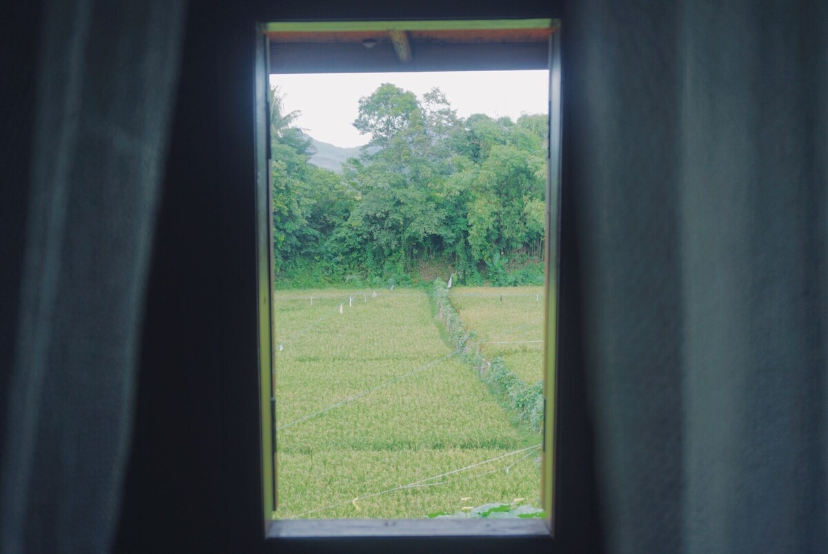 龙目岛凉亭上的稻田景观背包客房
