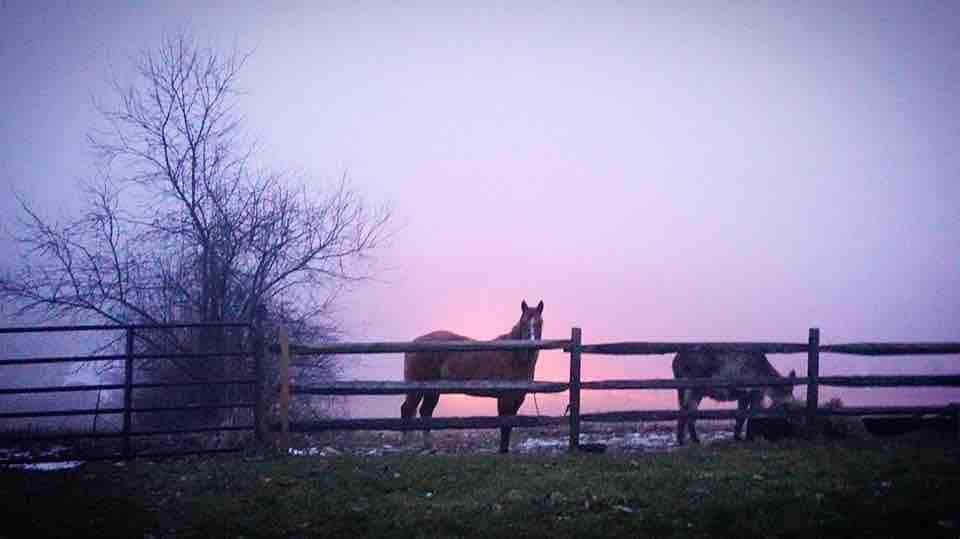 Stoneycreek Acres Farm Stay位于二楼的公寓