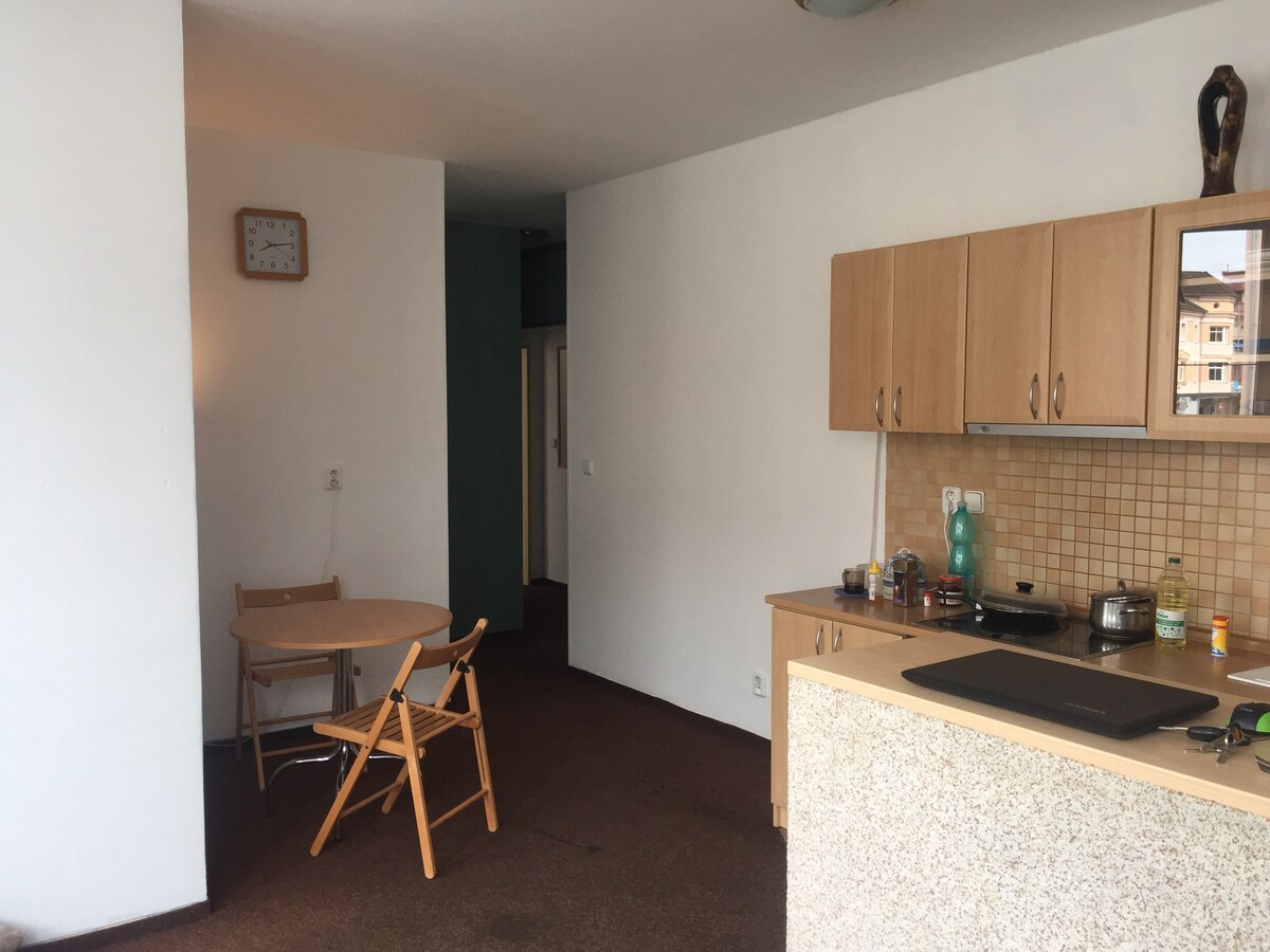 Apartment close to Prague