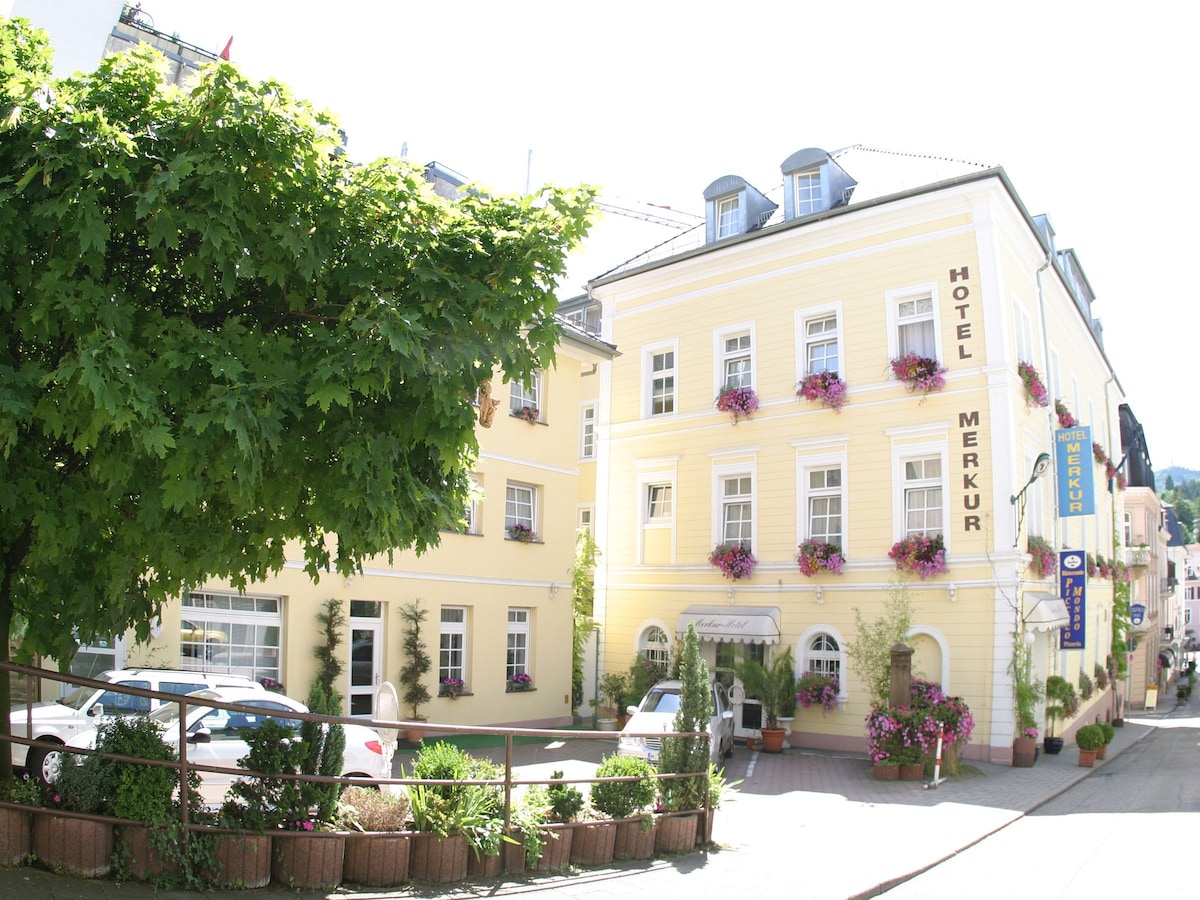 Merkur酒店， （巴登-巴登） ，双人房，高级， 26平方米，最多可住3人