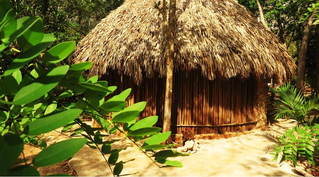 Xkopek Bees farm, Casita Maya 3