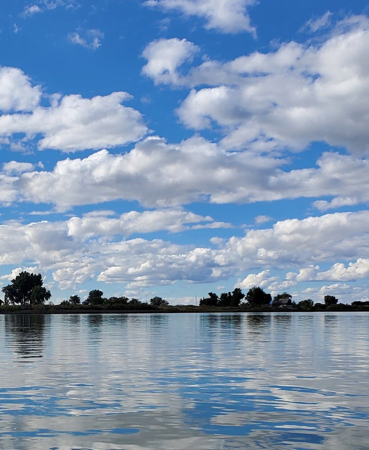 Lakeshore Bliss on Gunnison Bend Reservoir