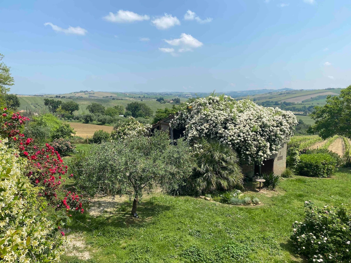 浪漫的公寓和花园，靠近Senigallia