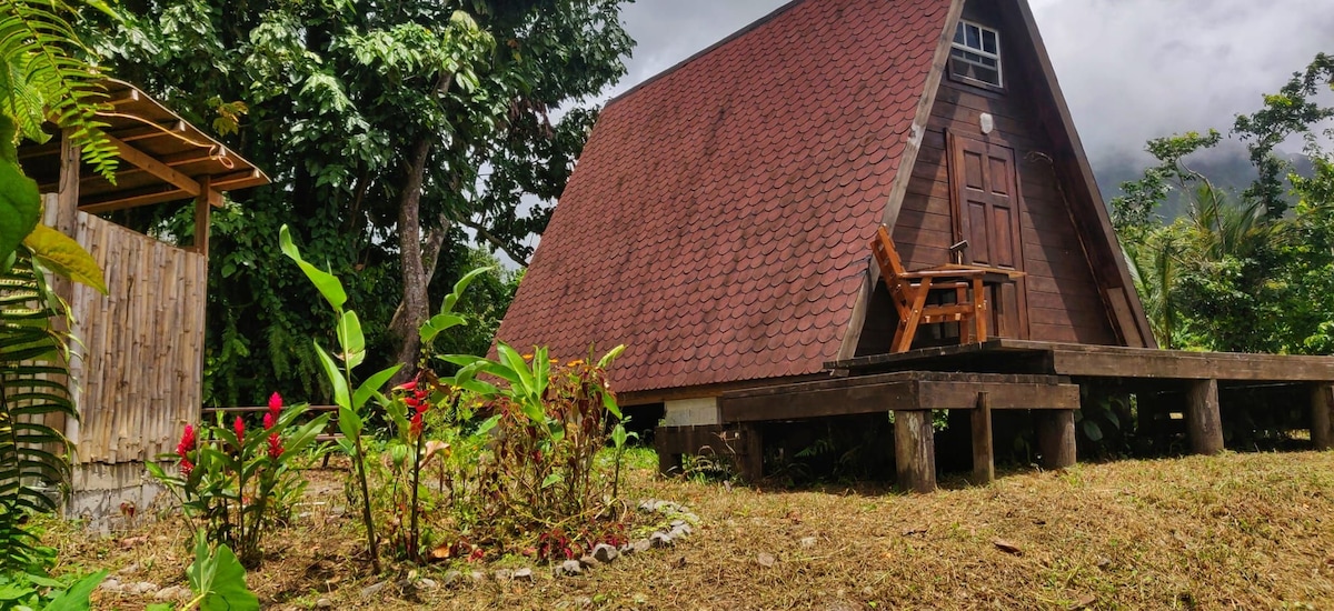 软游行生态度假村A型小屋丛林景观