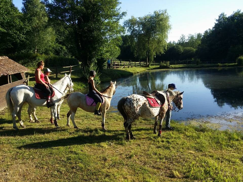 Chambre & chevaux