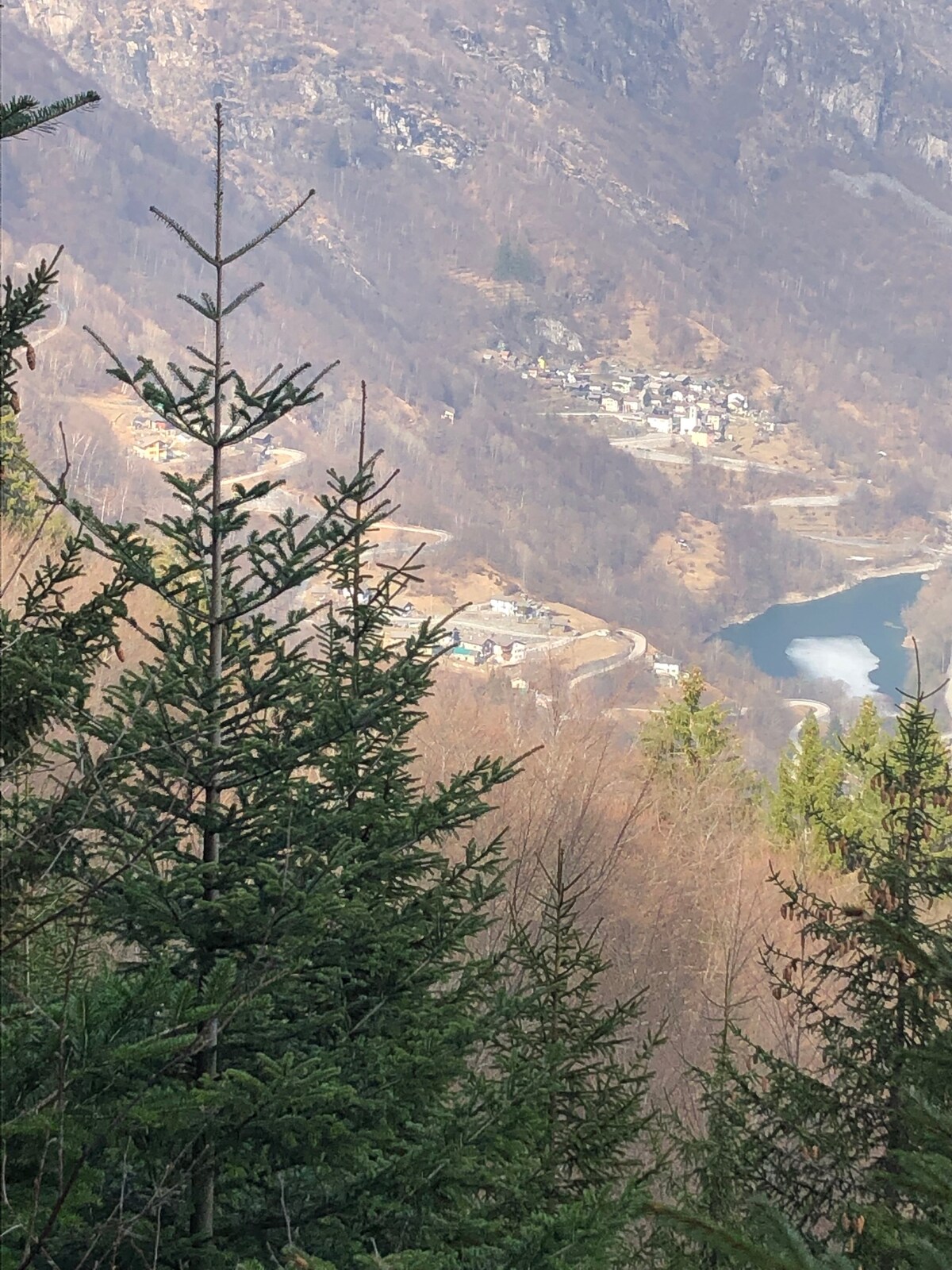 房间-森林中的房子，浪漫而全景