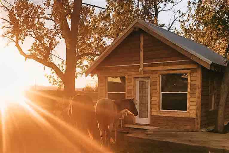 Rocky View Cozy Cabin