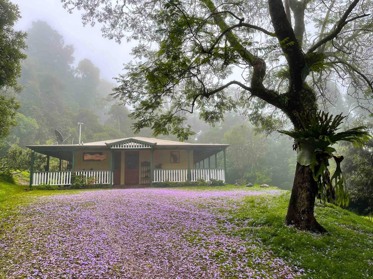 拉明顿国家公园的雨林小屋。