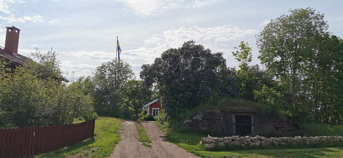 索勒勒伦（ Sollerön ）的田园诗般的新建小屋。