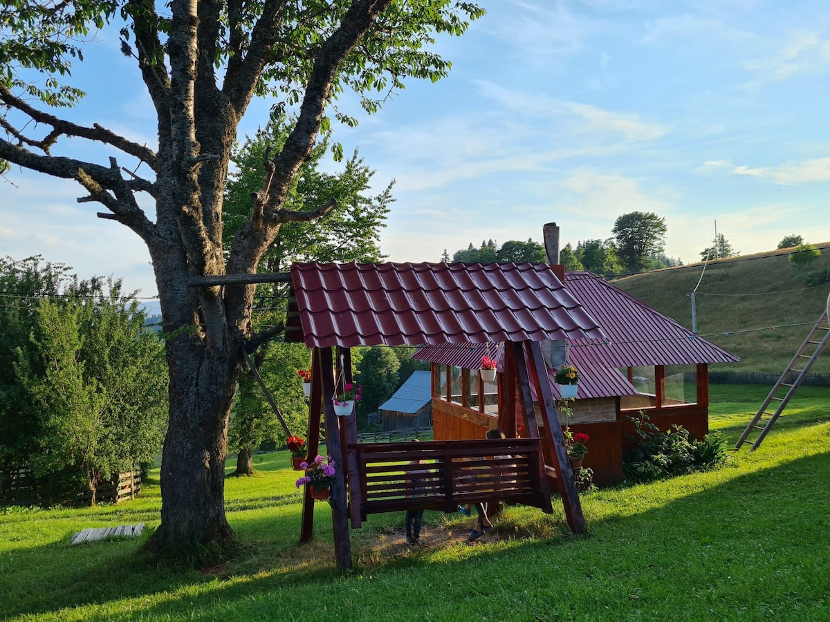 Daria Cabin