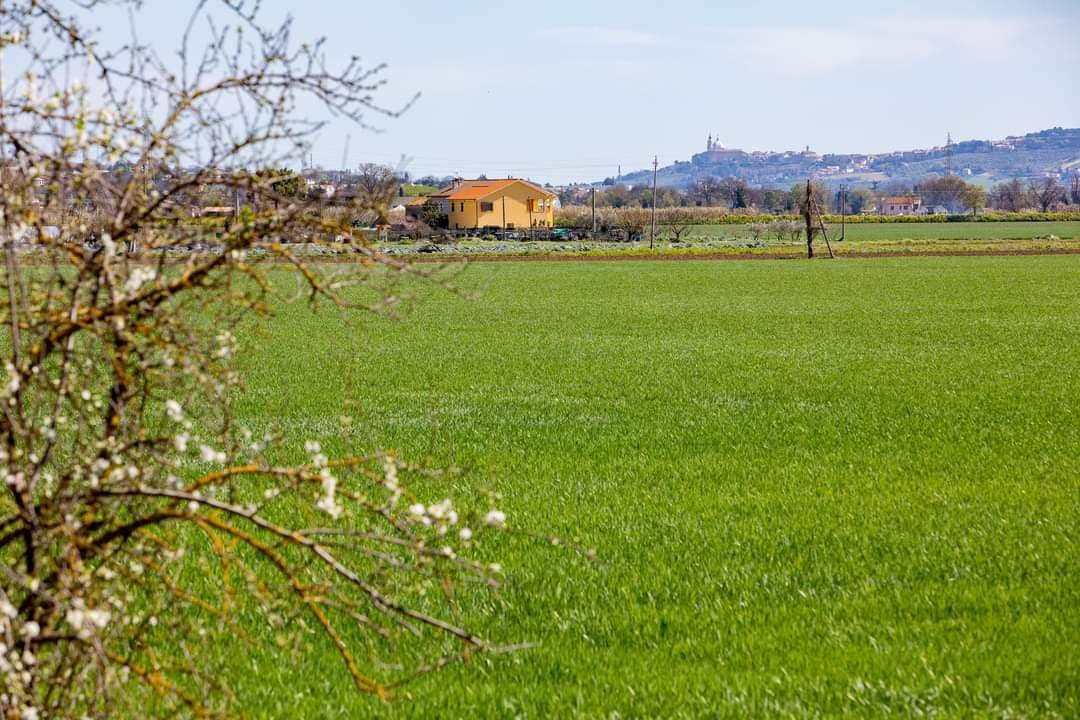 casa vacanze Verde Marche