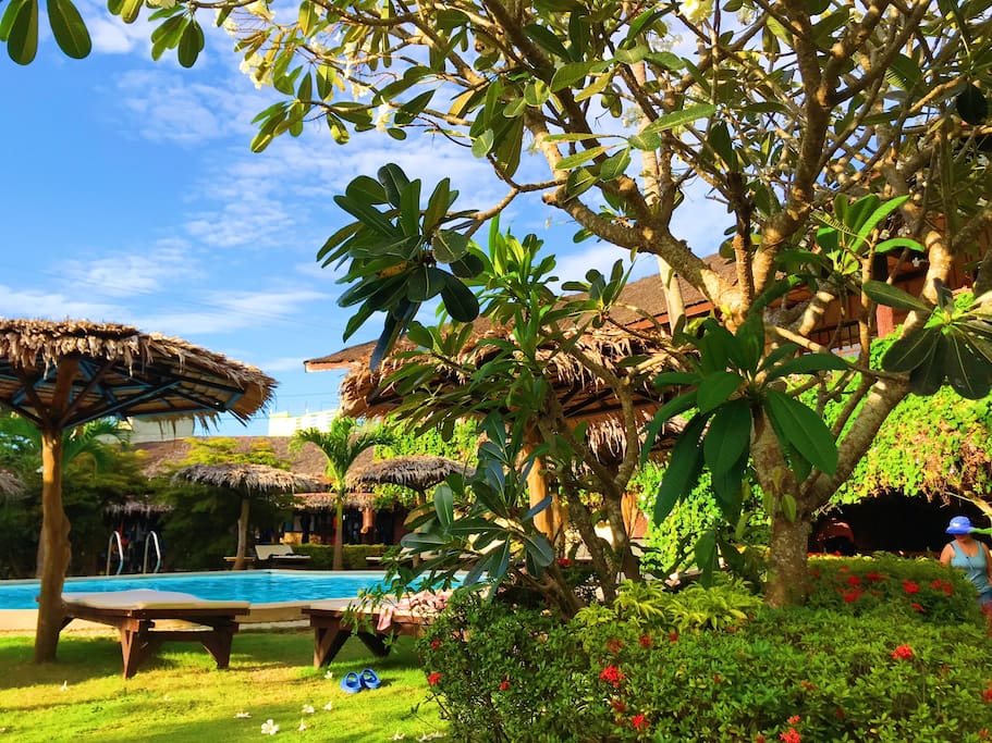 garden of eden,理想中的潜水度假村